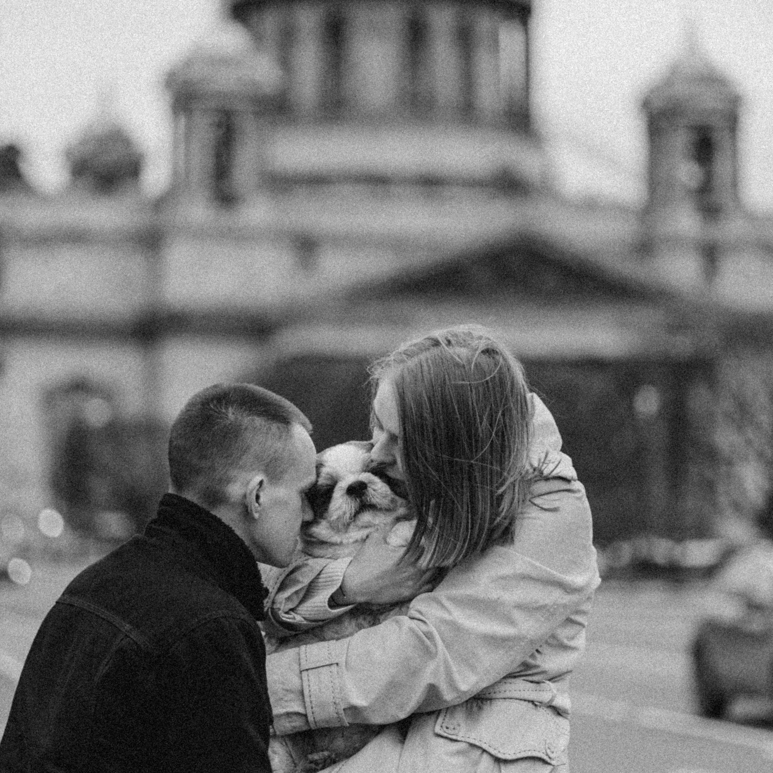 Услуги. Фотограф-анималист в Санкт-Петербурге