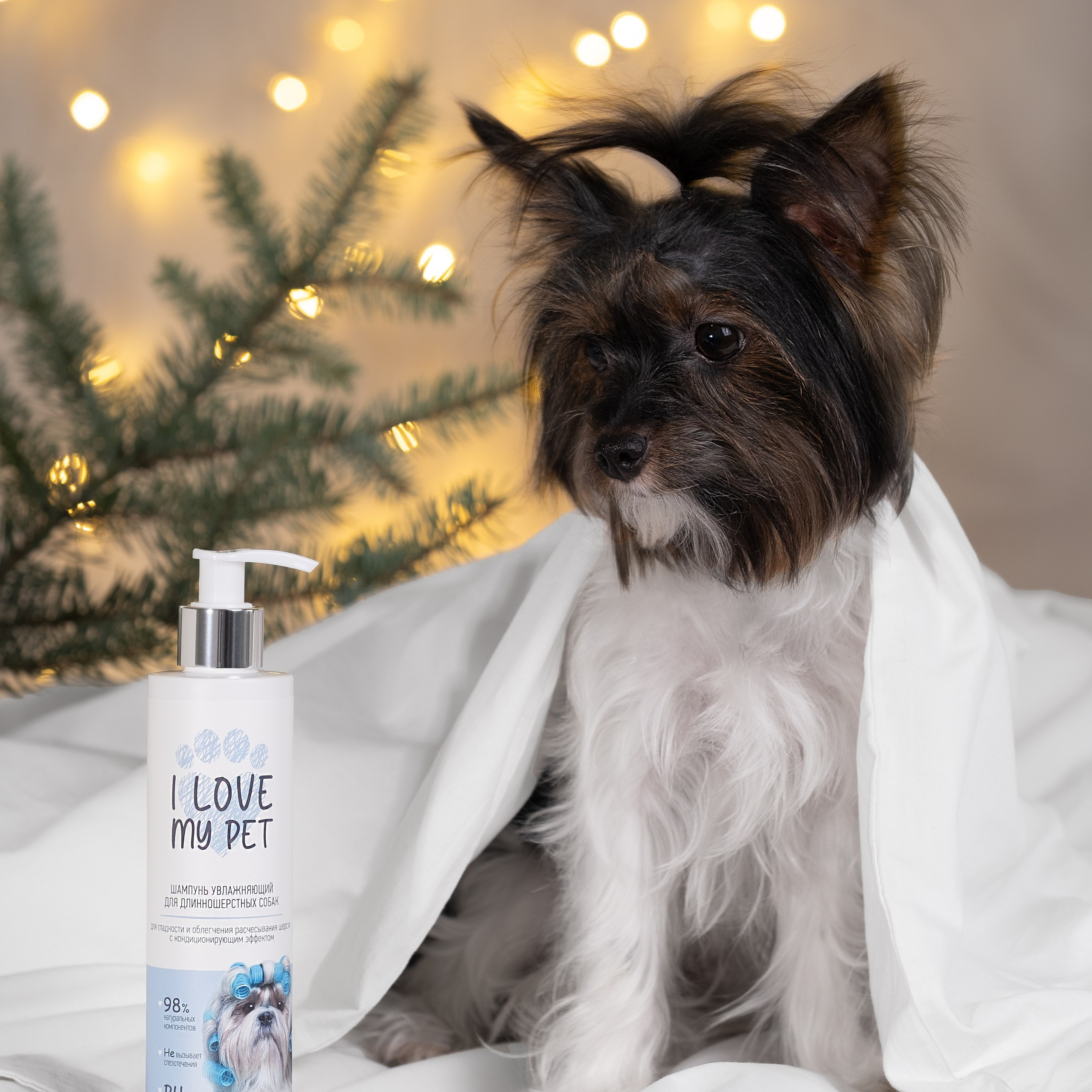 Портфолио. Предметный контент — фотограф и видеограф, ИИ генерации в Москве Карсакова