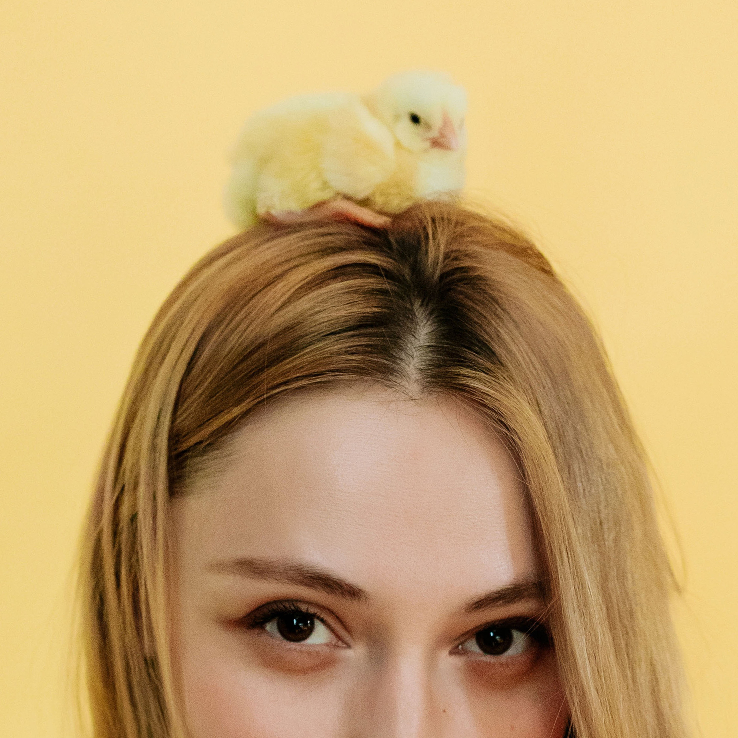 Контакты. Свадебный и семейный фотограф в Иркутске Яна Лиа