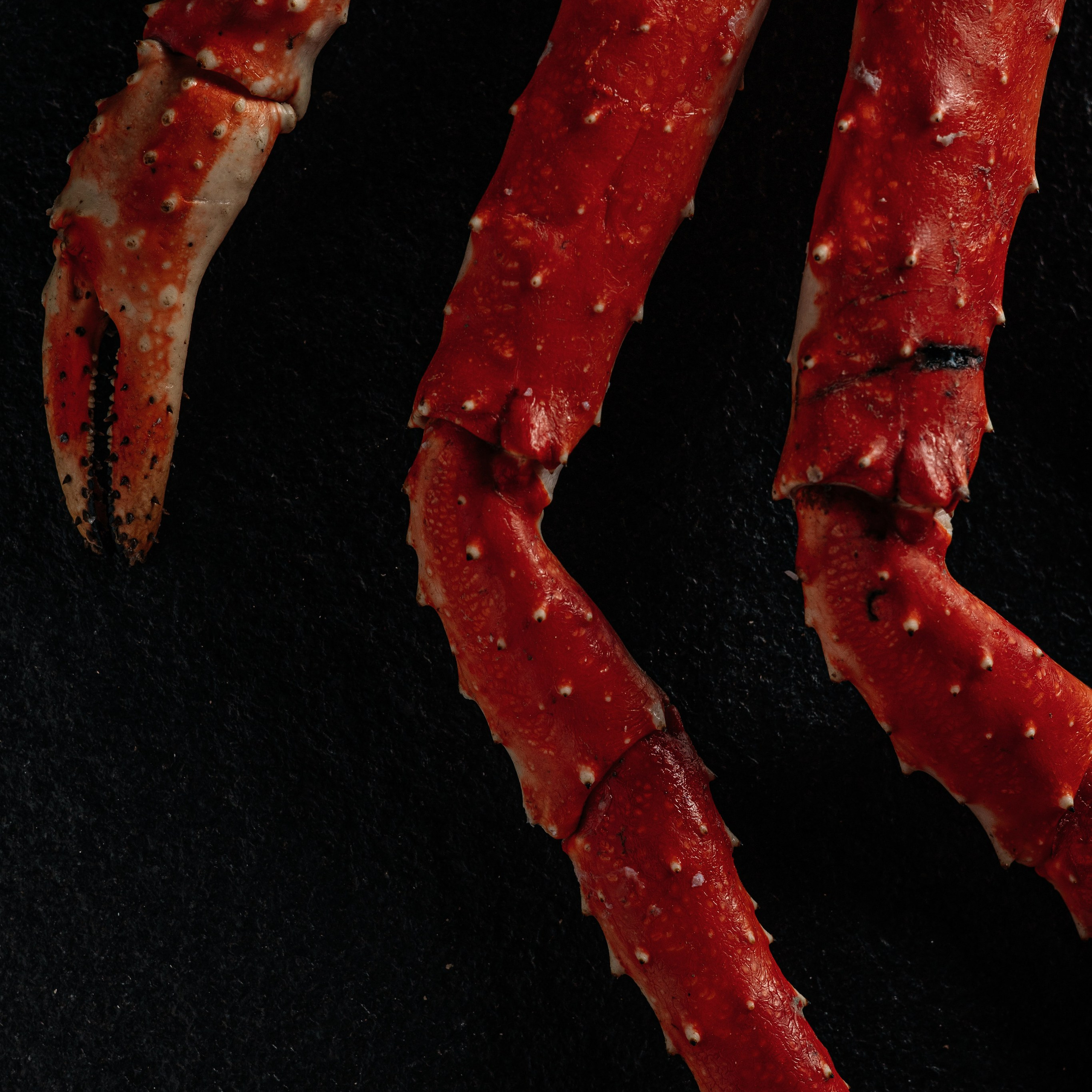 Фуд-фотограф и видеограф из Петербурга