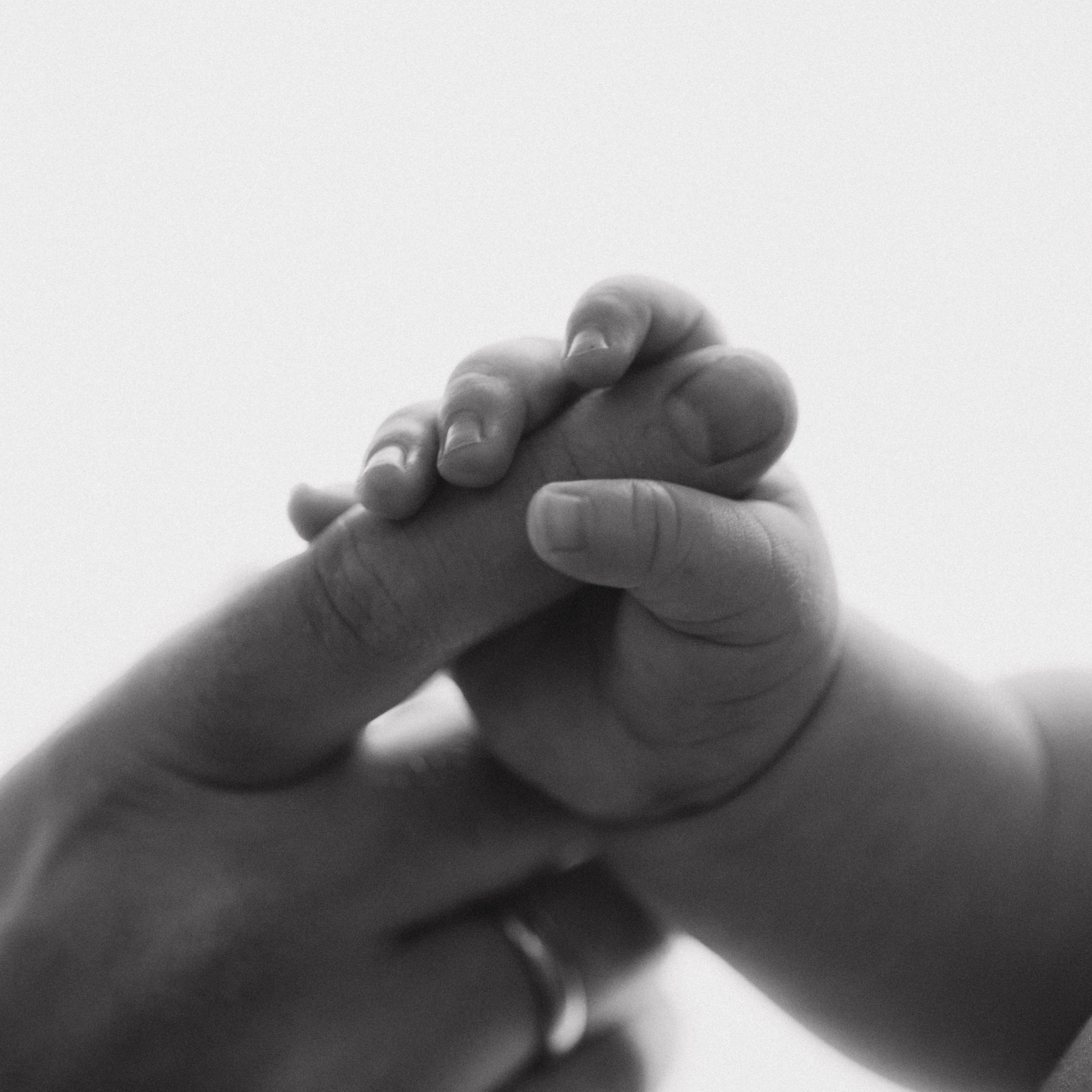 Контакты. Семейный фотограф Москва