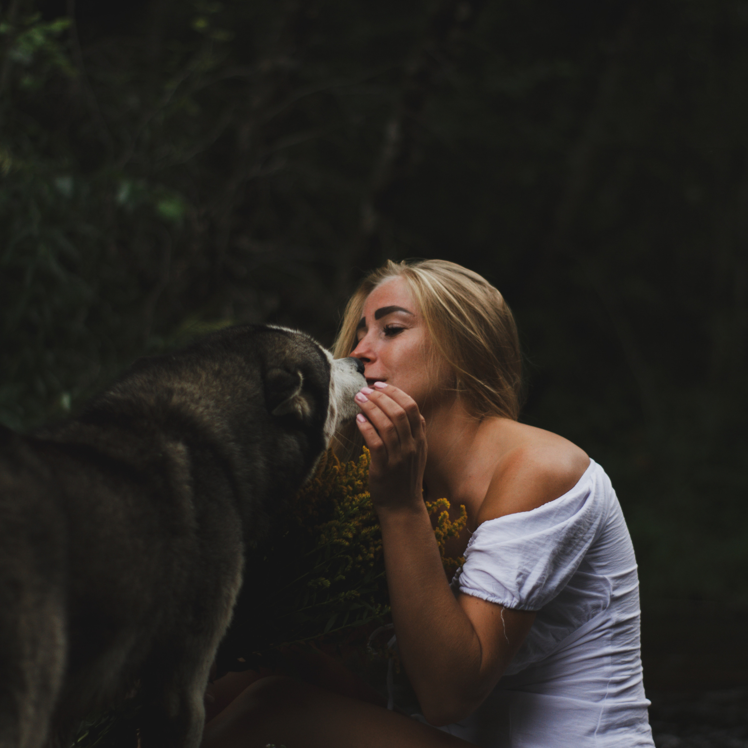 Услуги. Ph Volova