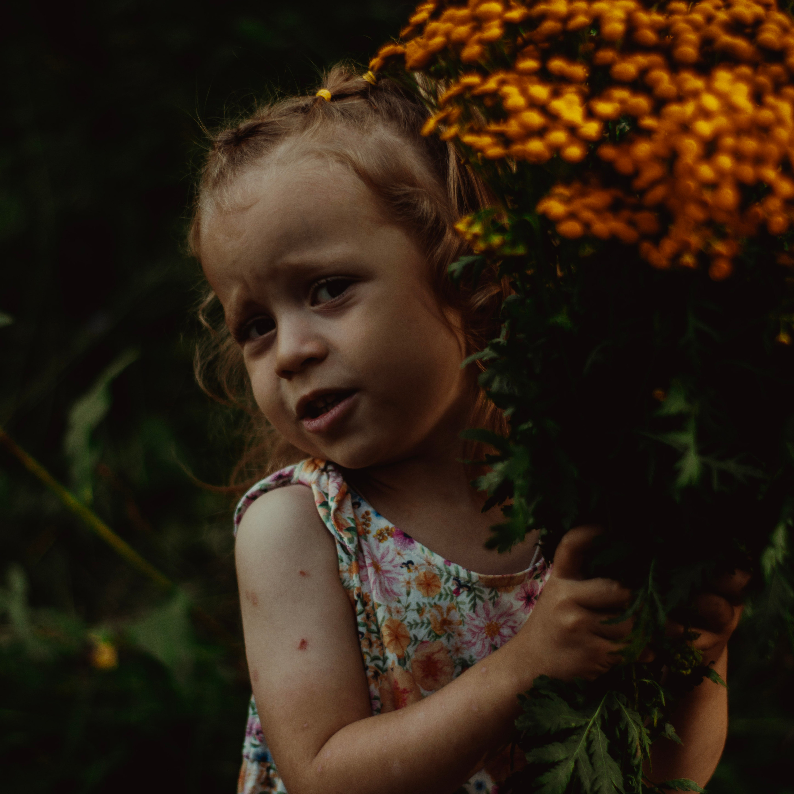 Услуги. Ph Volova
