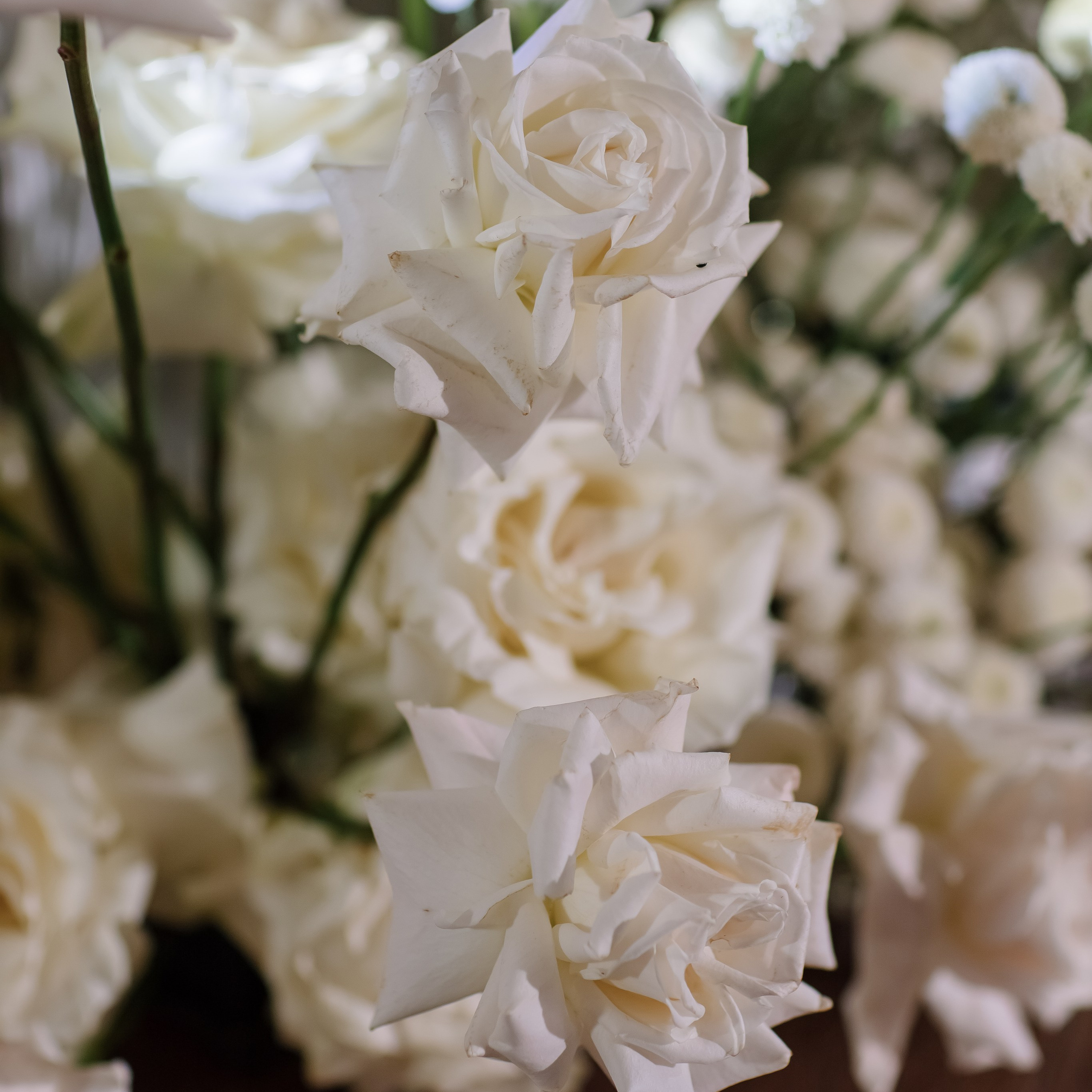 Контакты. Свадебный фотограф