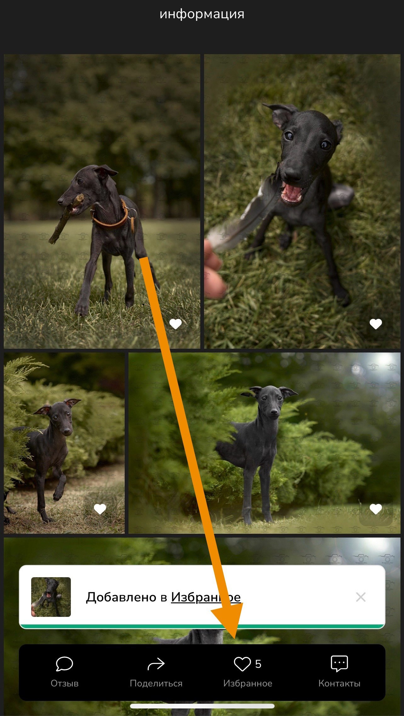 Отбор фотографий