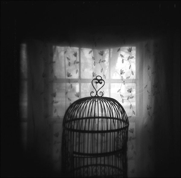 Книжный клуб