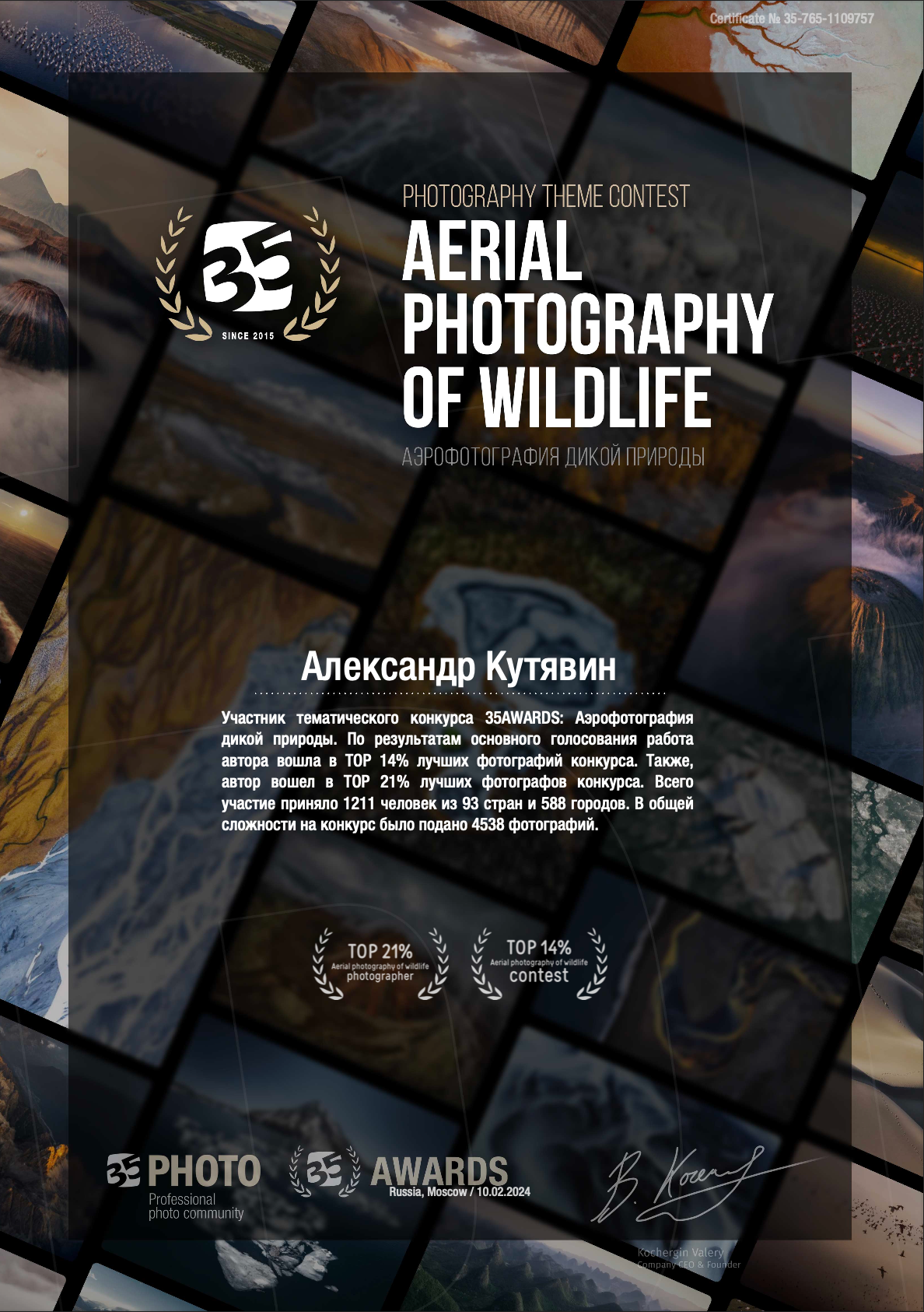 Женский портрет