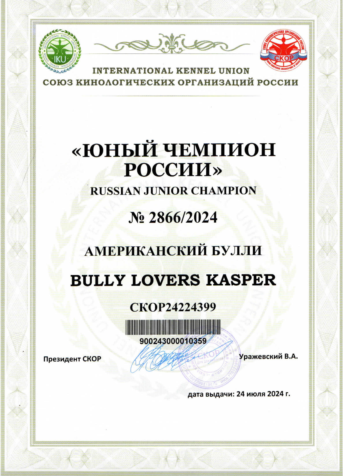 Кобель на вязку Американский Булли в Архангельске