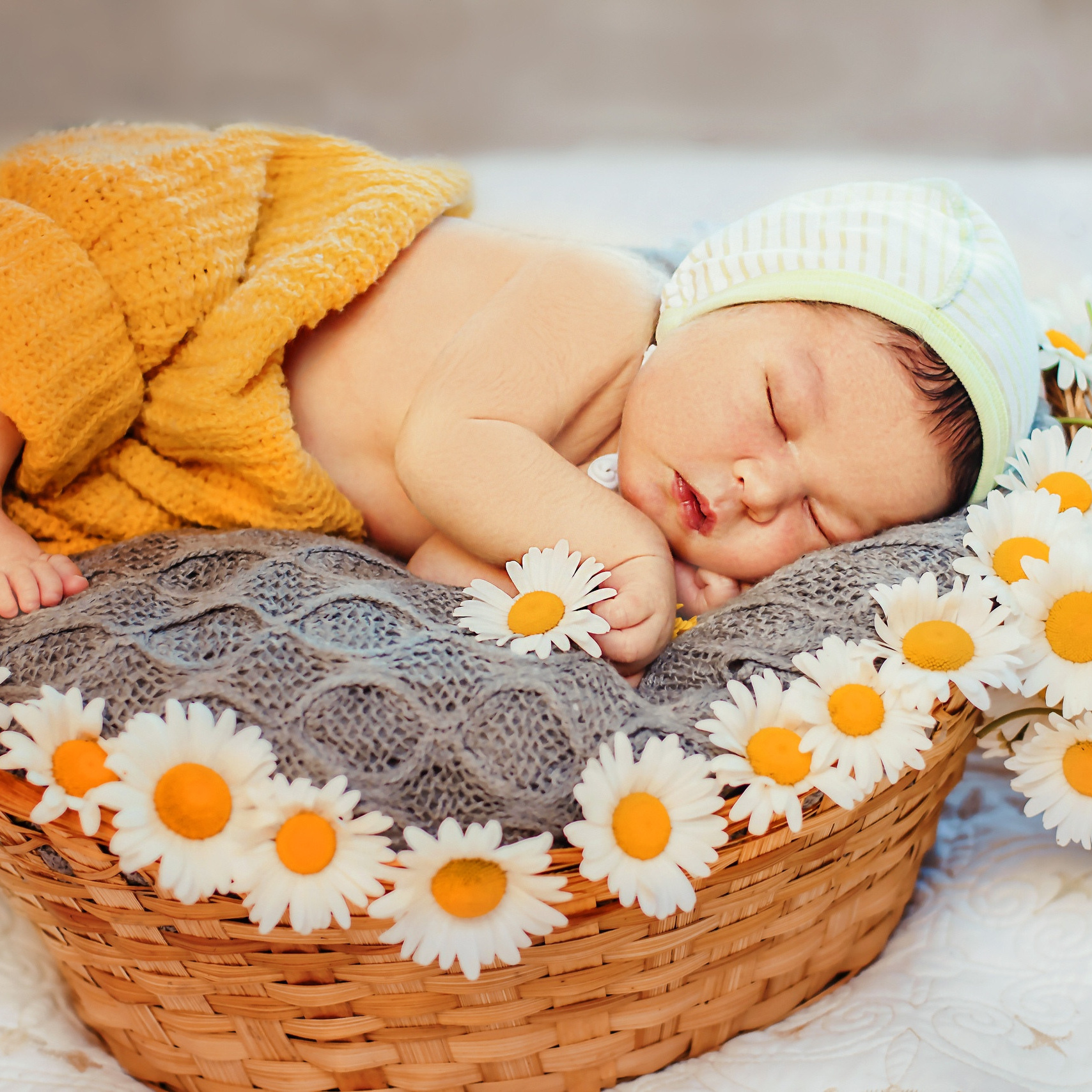 Услуги. Семейный и свадебный фотограф в Ярославле Надежда Бойкова