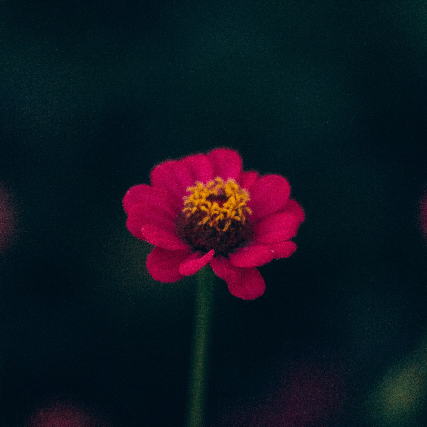 Портретный фотограф Артем Нужин