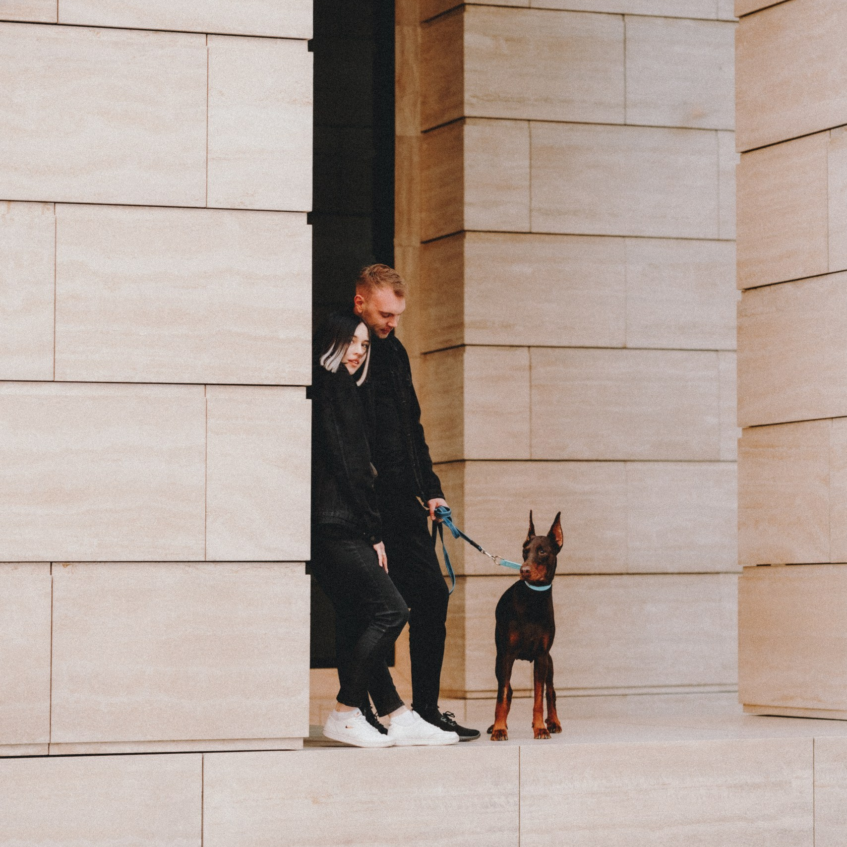Прайс Москва. Фотограф анималист Осипчикова Мария