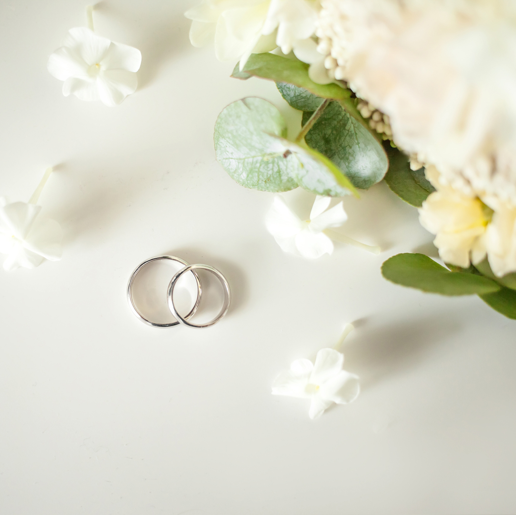 Цены и услуги. Фотограф Алина Гашникова