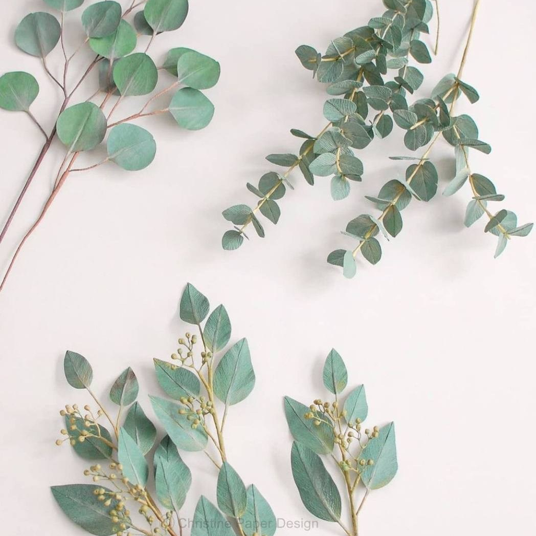 Инструкция ухода. Купить цветы с доставкой по Москве