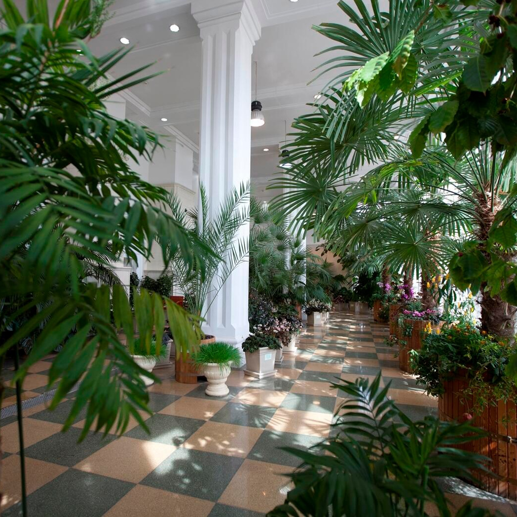 Разбор локаций Царицыно. Свадебный фотограф в Москве Анастасия Шелест