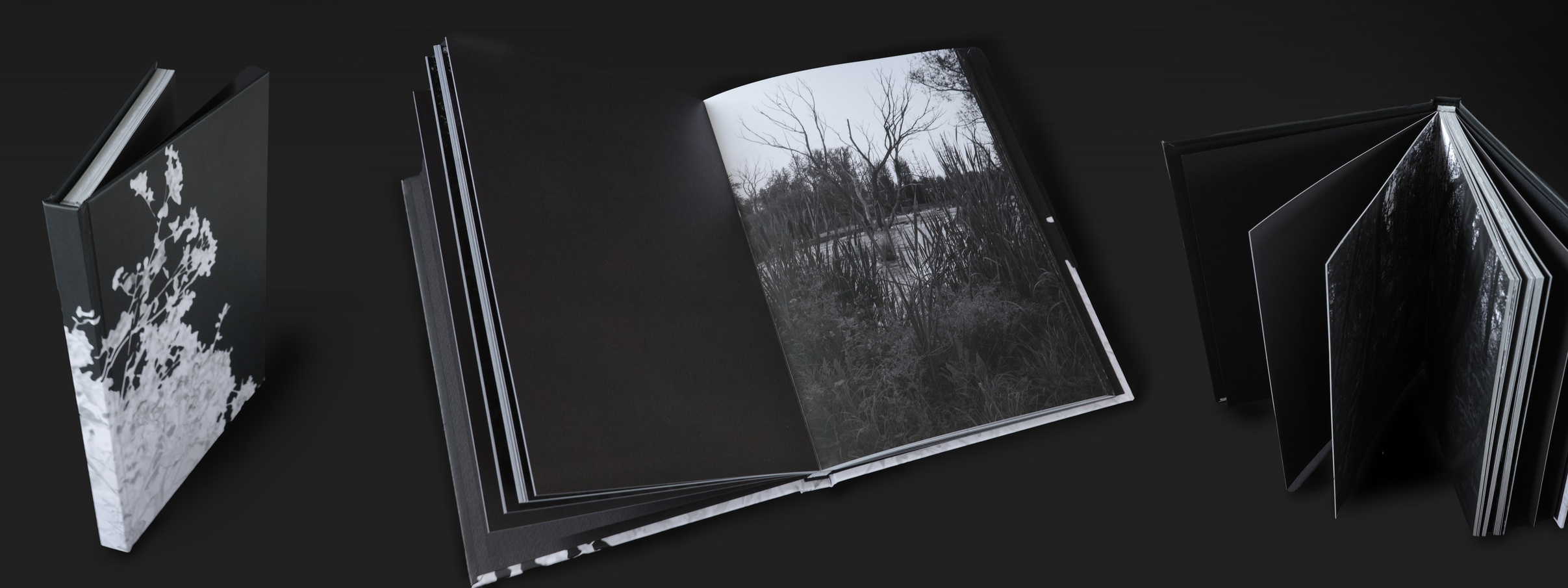 Купить. Пылина Ирина — современная фотография