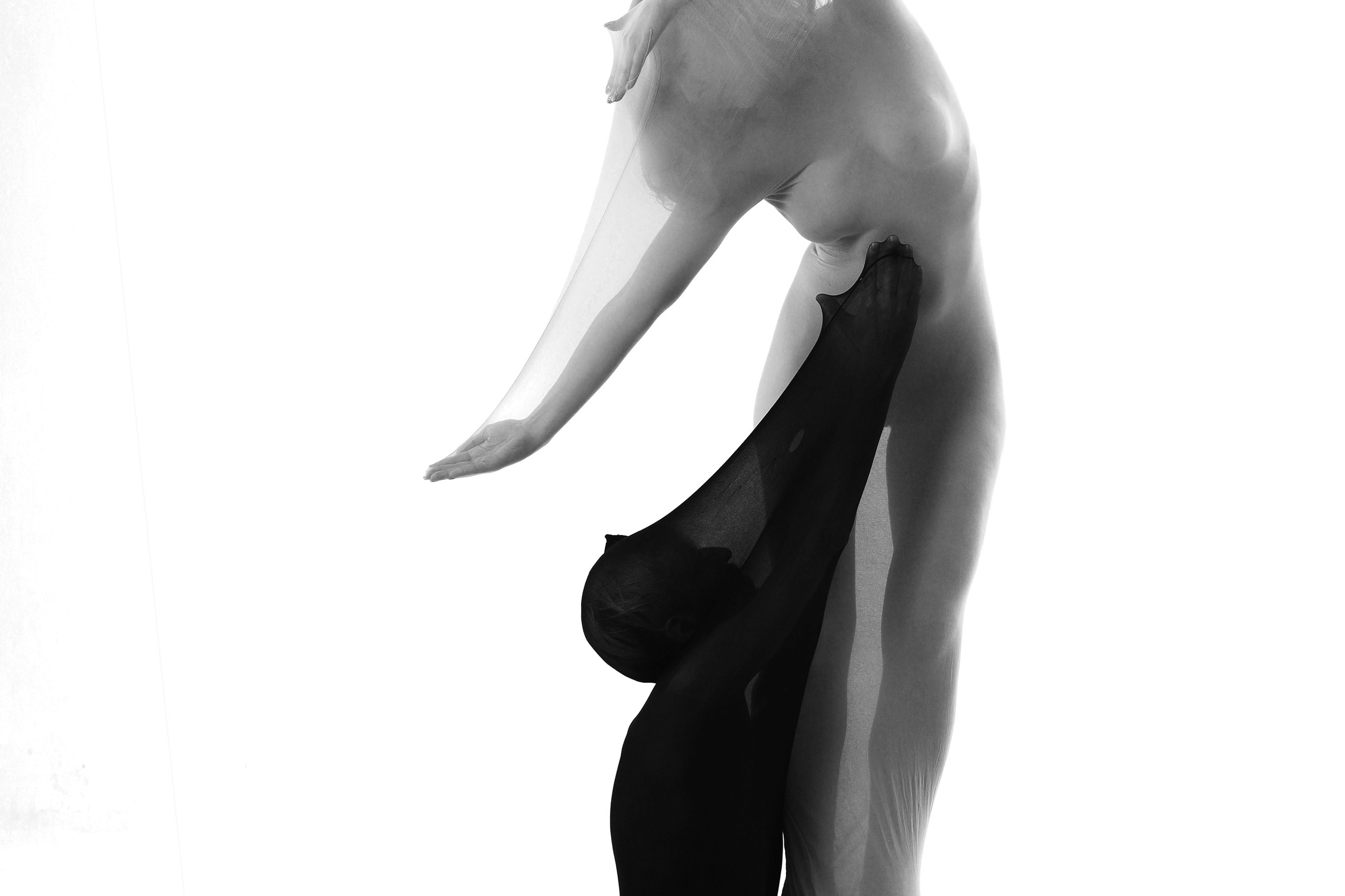 Сотрудничество. PDSM Model Couple