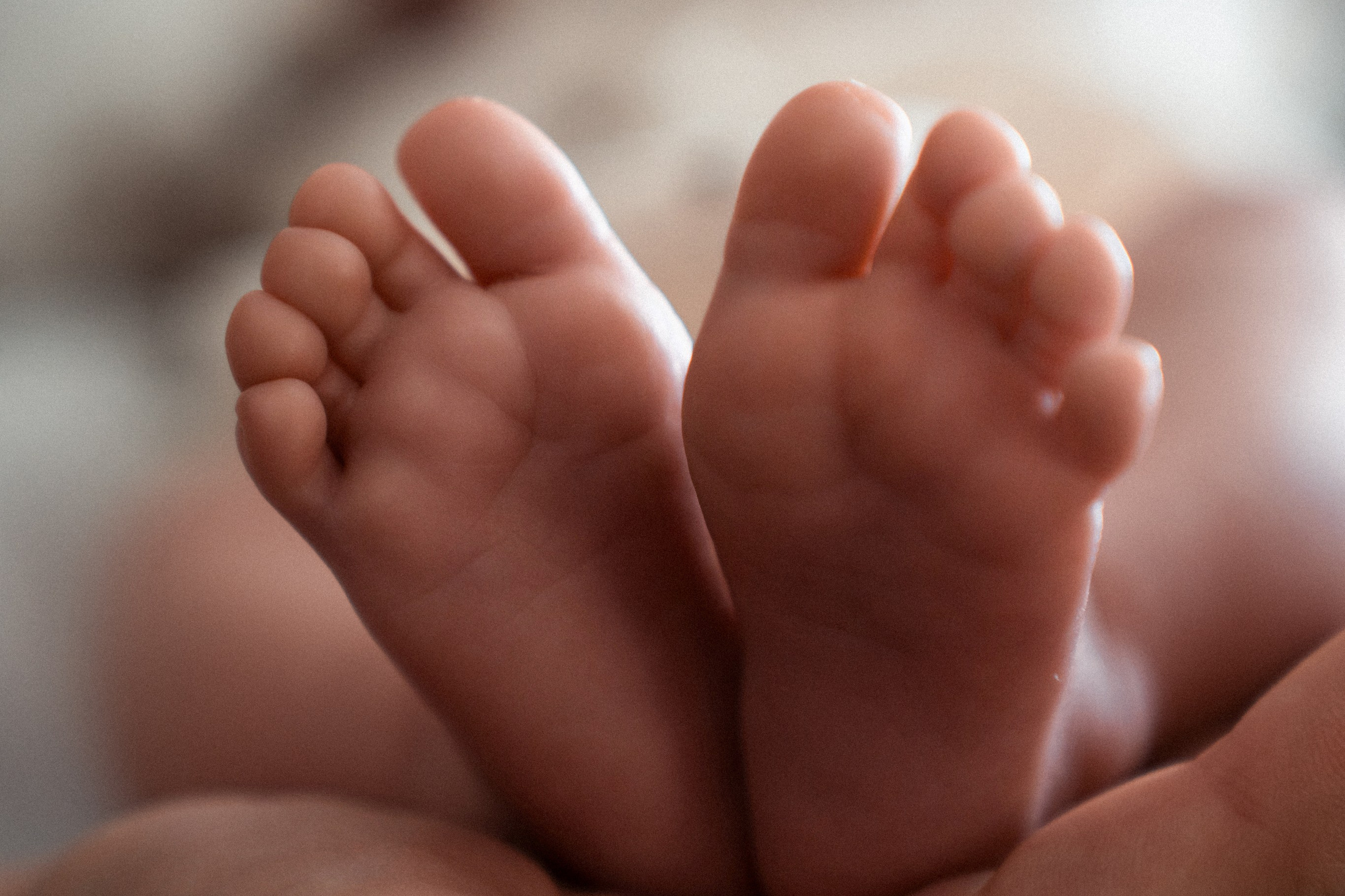 Услуги. Фотограф в Севастополе — Ольга Максименко