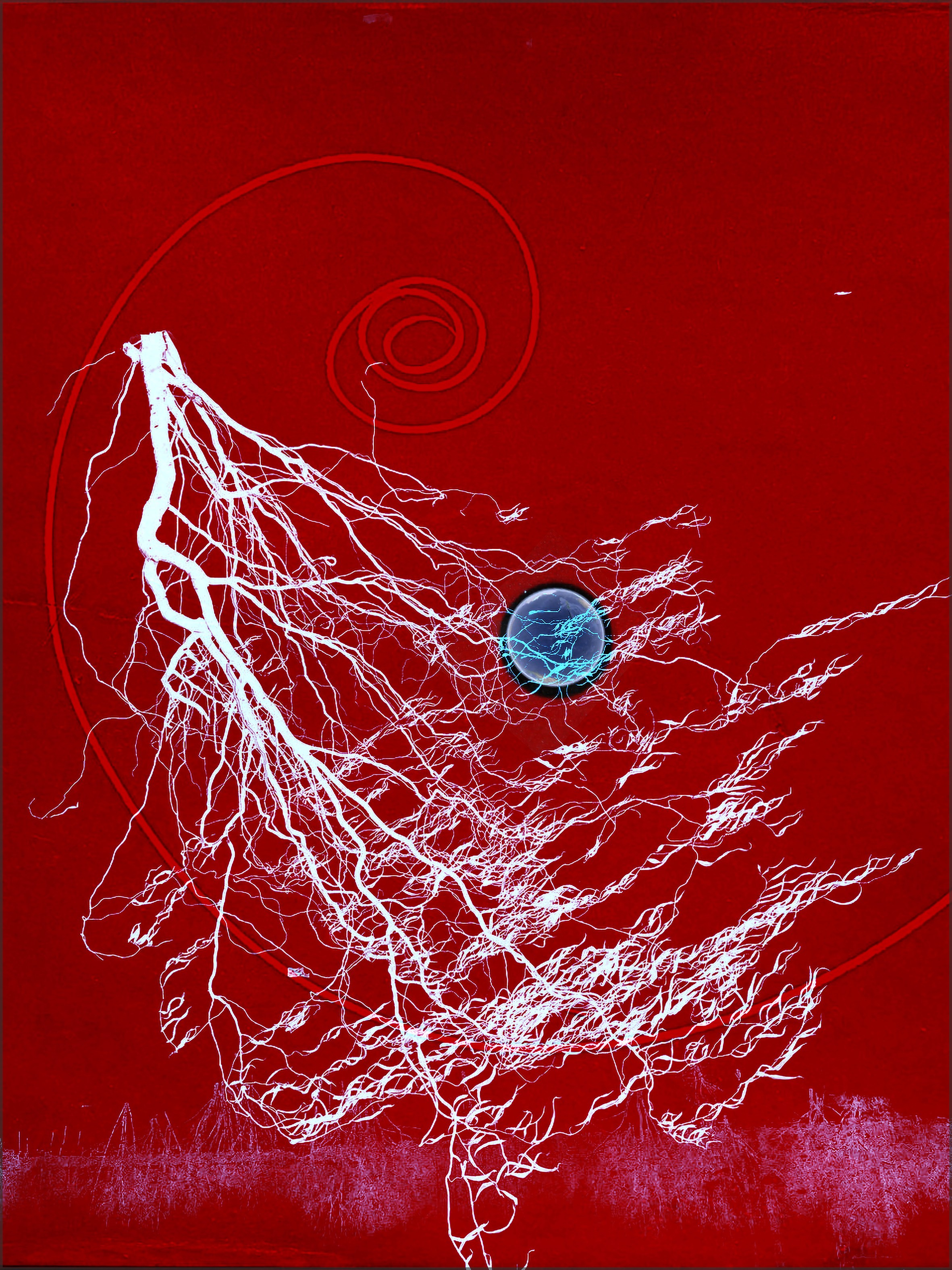 Metaphysics of cosmism. Visual artist, photographer Liana Darenskaya, Moscow