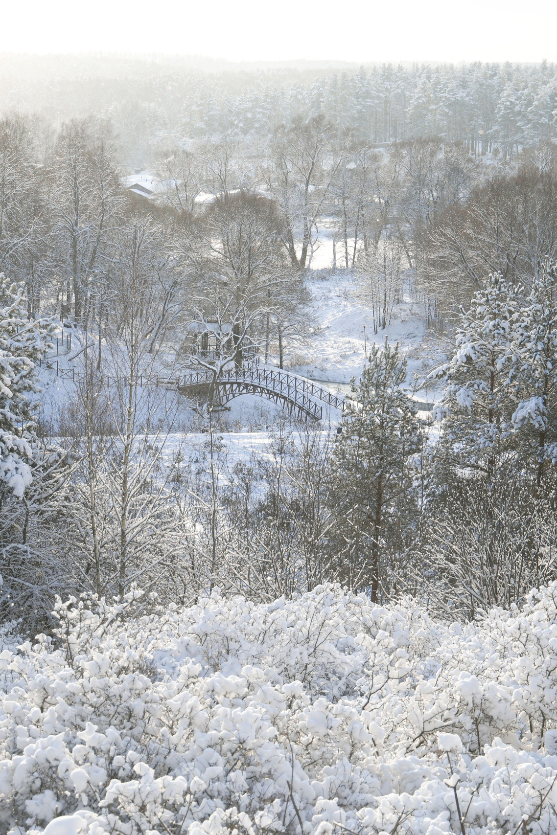 Фотограф Максим Татаринов