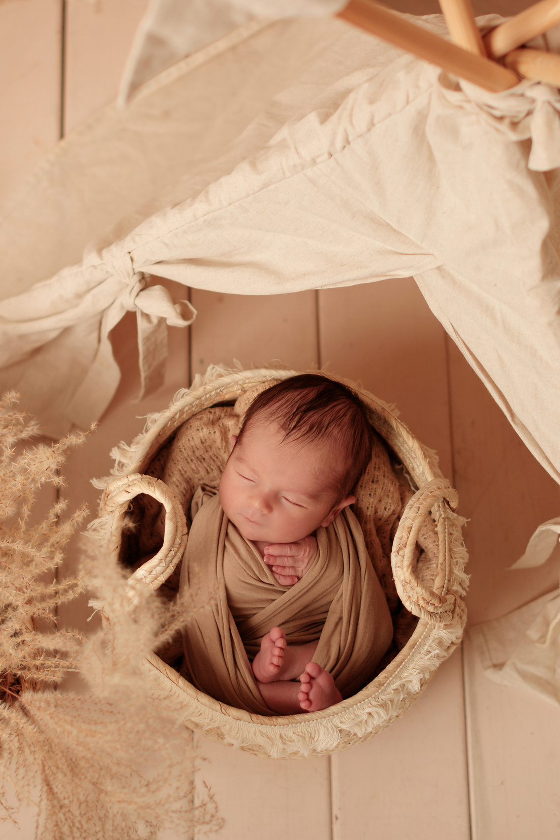 Newborn. Olga Alice Pro Photo