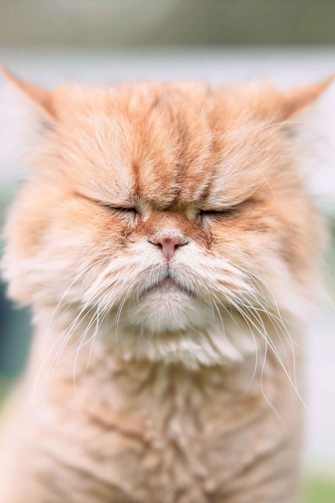 Фотограф Максим Татаринов