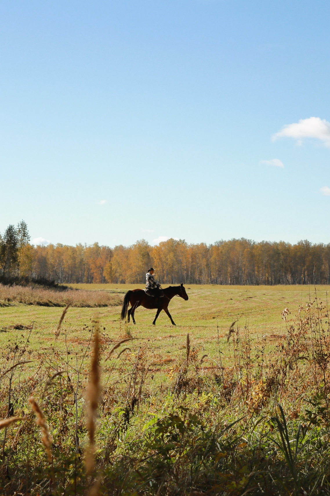 Ковбойская фотосессия. Фотохудожник Светлана Финадеева. Челябинск