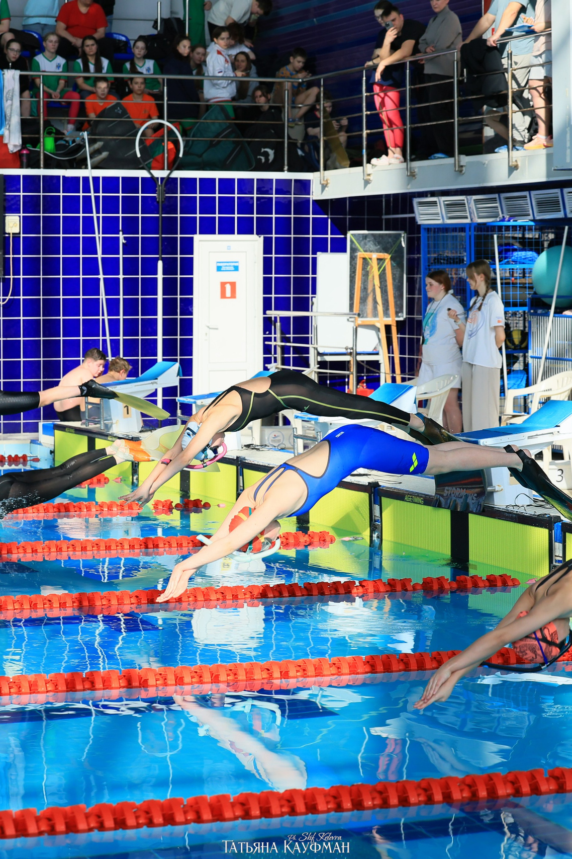 Репортажи с соревнований. Фотограф Анималист из Новосибирска Татьяна Кауфман
