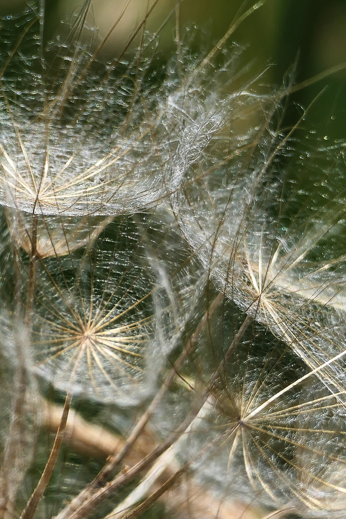 Фотокурсы и обучение в фотошколе «Вдохновение» в Абакане. Фотошкола и фотокурсы в Абакане