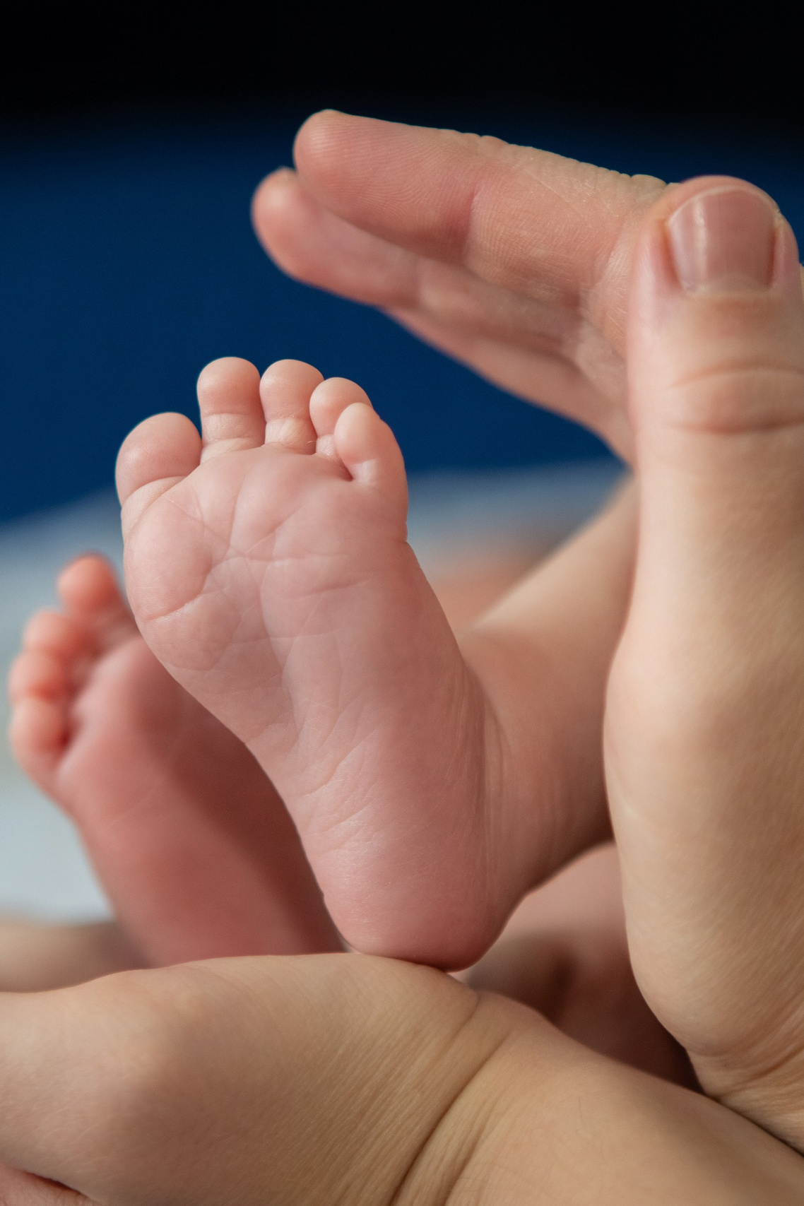 Портфолио. Вера Соколова фотограф Воронеж