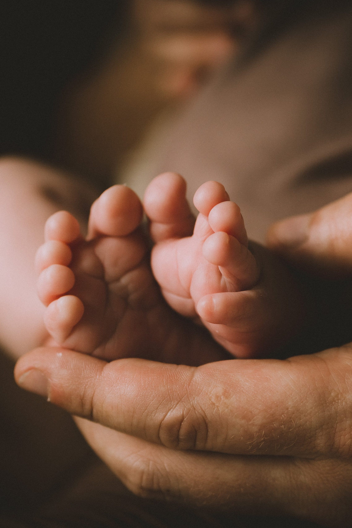 Услуги и цены. Семейный и женский фотограф в Санкт-Петербурге Павлова Елена