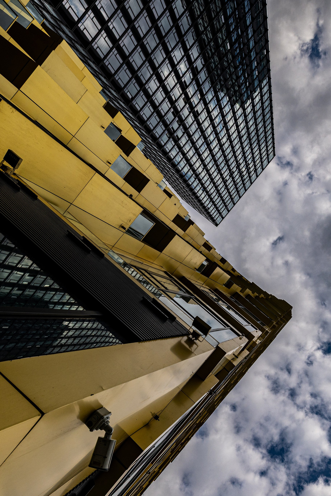 Девушка с маленькой собачкой