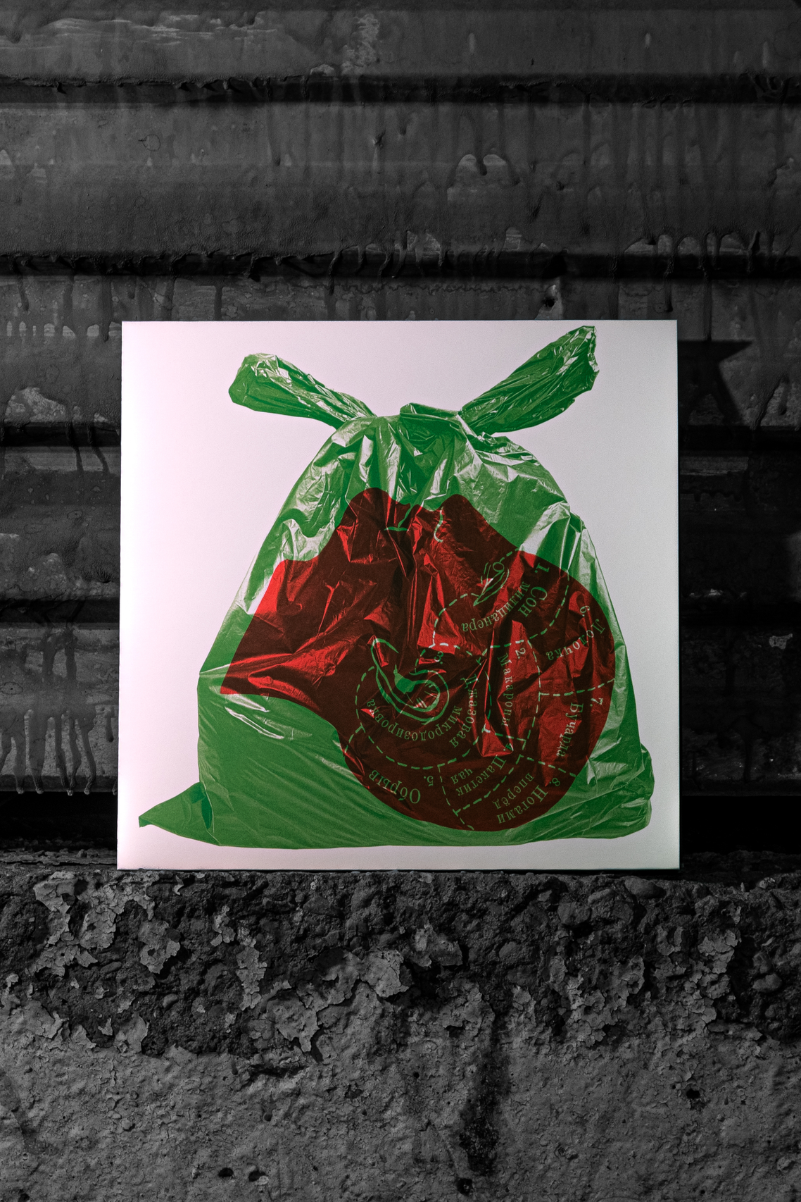 Репортажный фотограф в Москве Legiodot