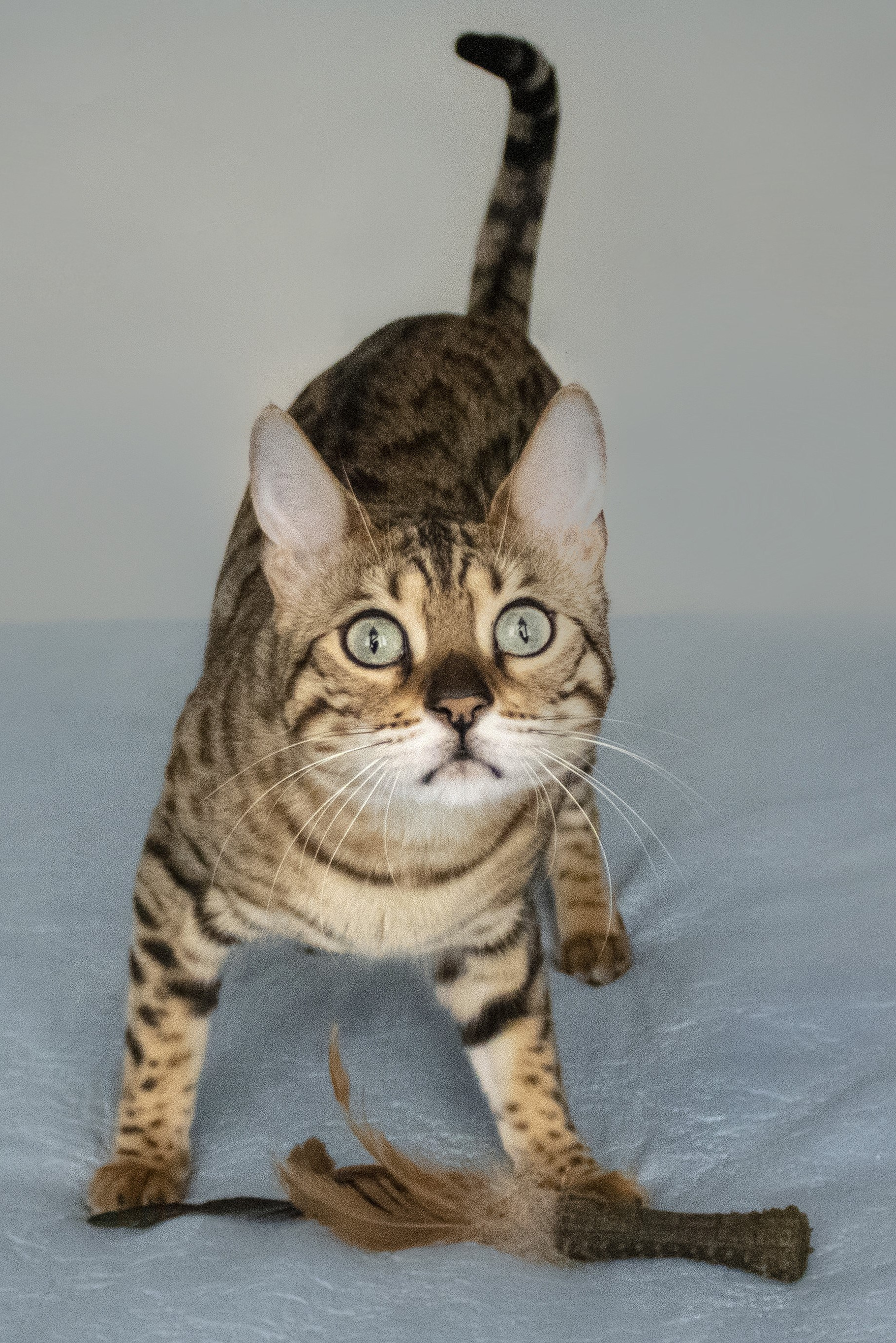 Услуги. Позитивный контент-фотограф в Санкт-Петербурге Мария Устинова