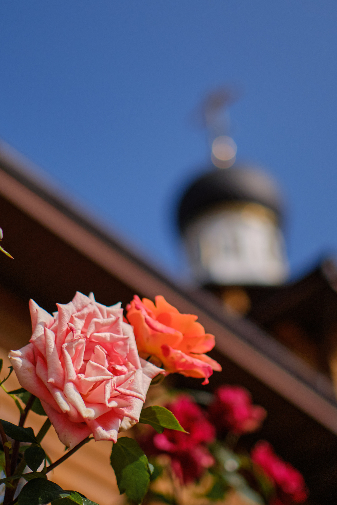 Услуги фотографа в Старом Осколе, заказать услуги фотографа. Профессиональный фотограф Старый Оскол, Губкин — свадьба, венчание, крещение, юбилей и день рождения