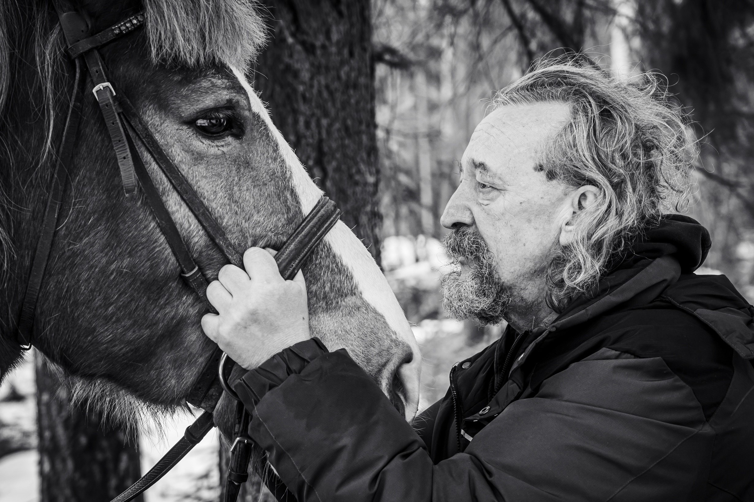 35 Awards «Человек и лошадь». Photomantis