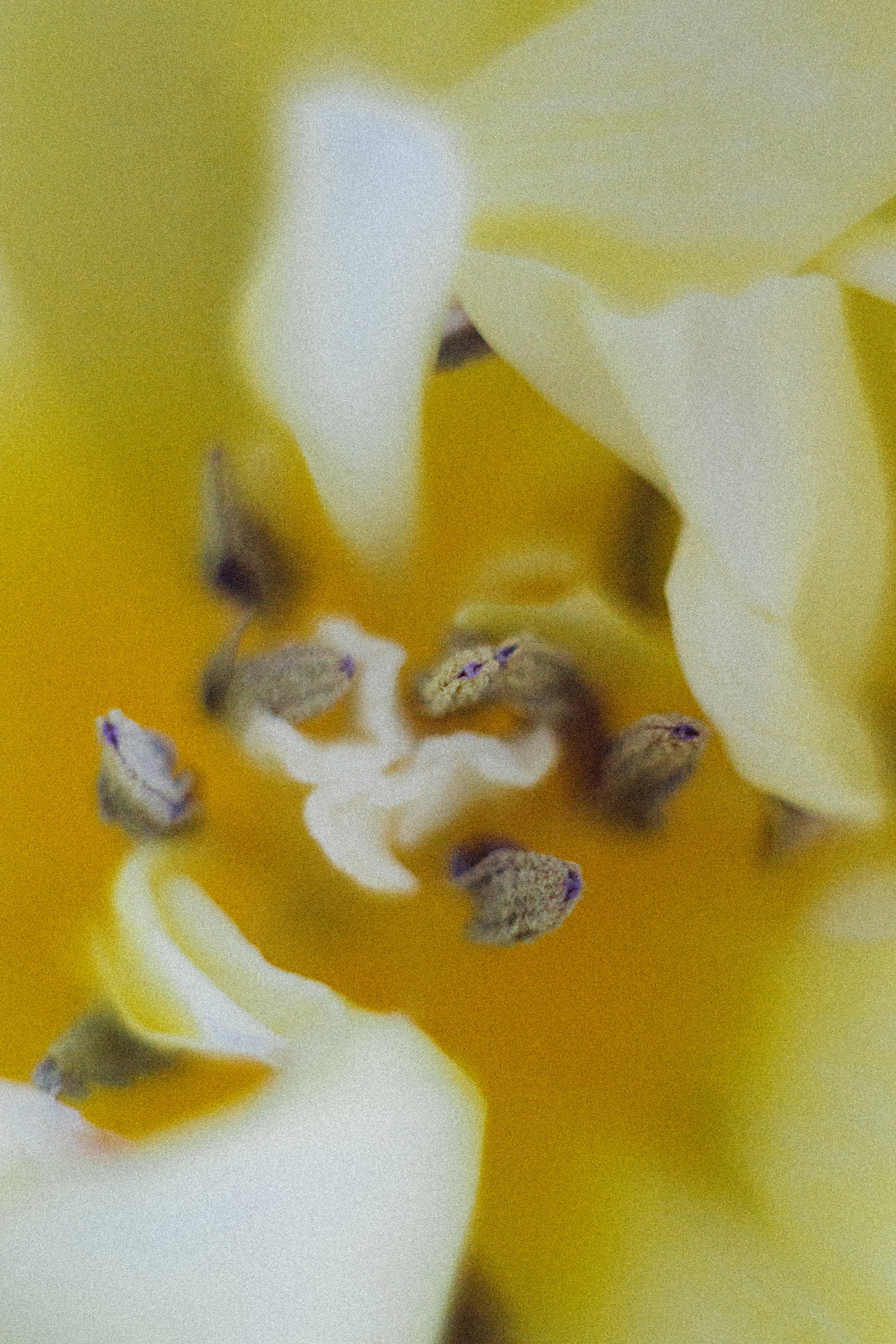 Когда остается послевкусие. Семейный и контент фотограф в Москве Вероника Швец