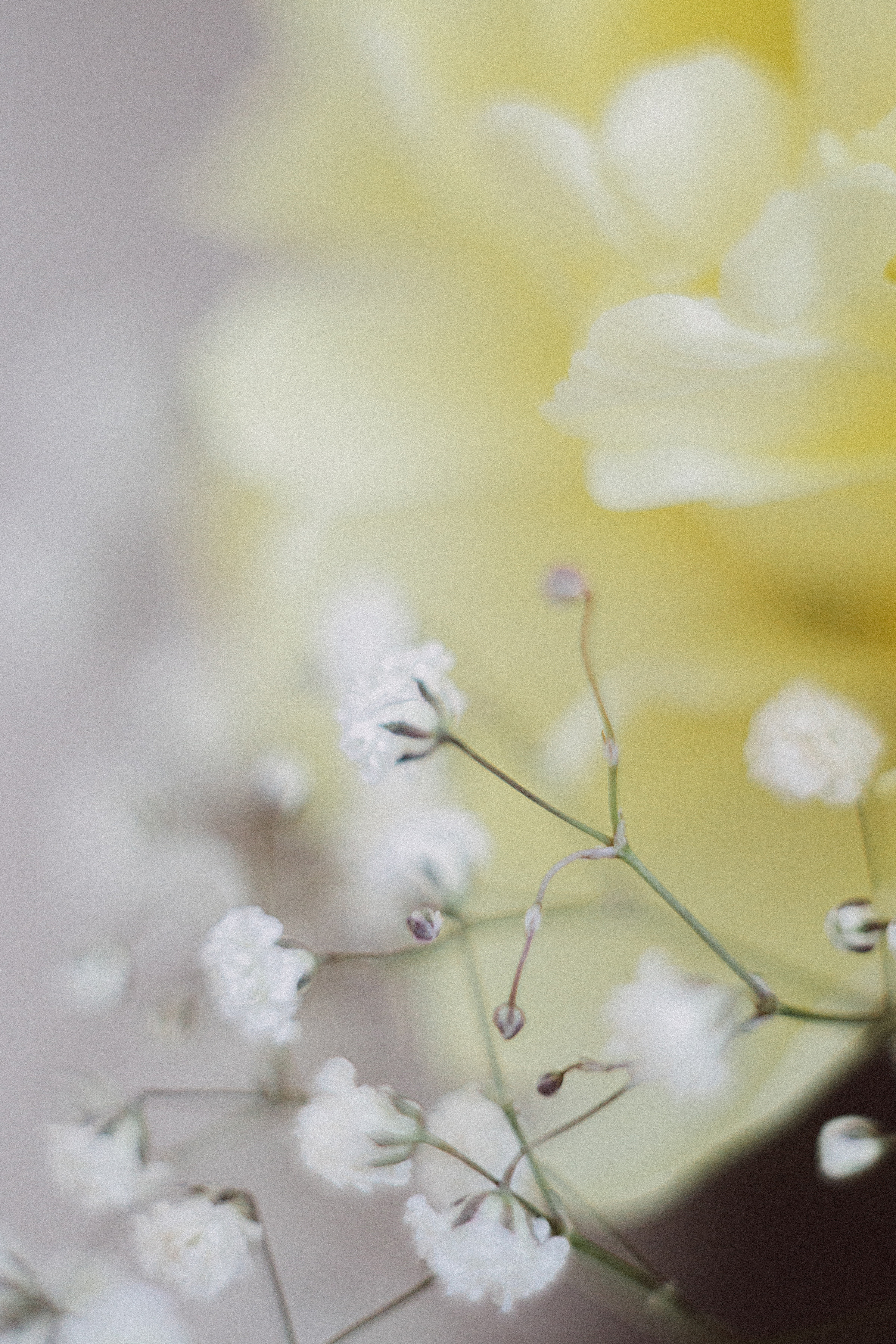 Когда остается послевкусие. Семейный и контент фотограф в Москве Вероника Швец