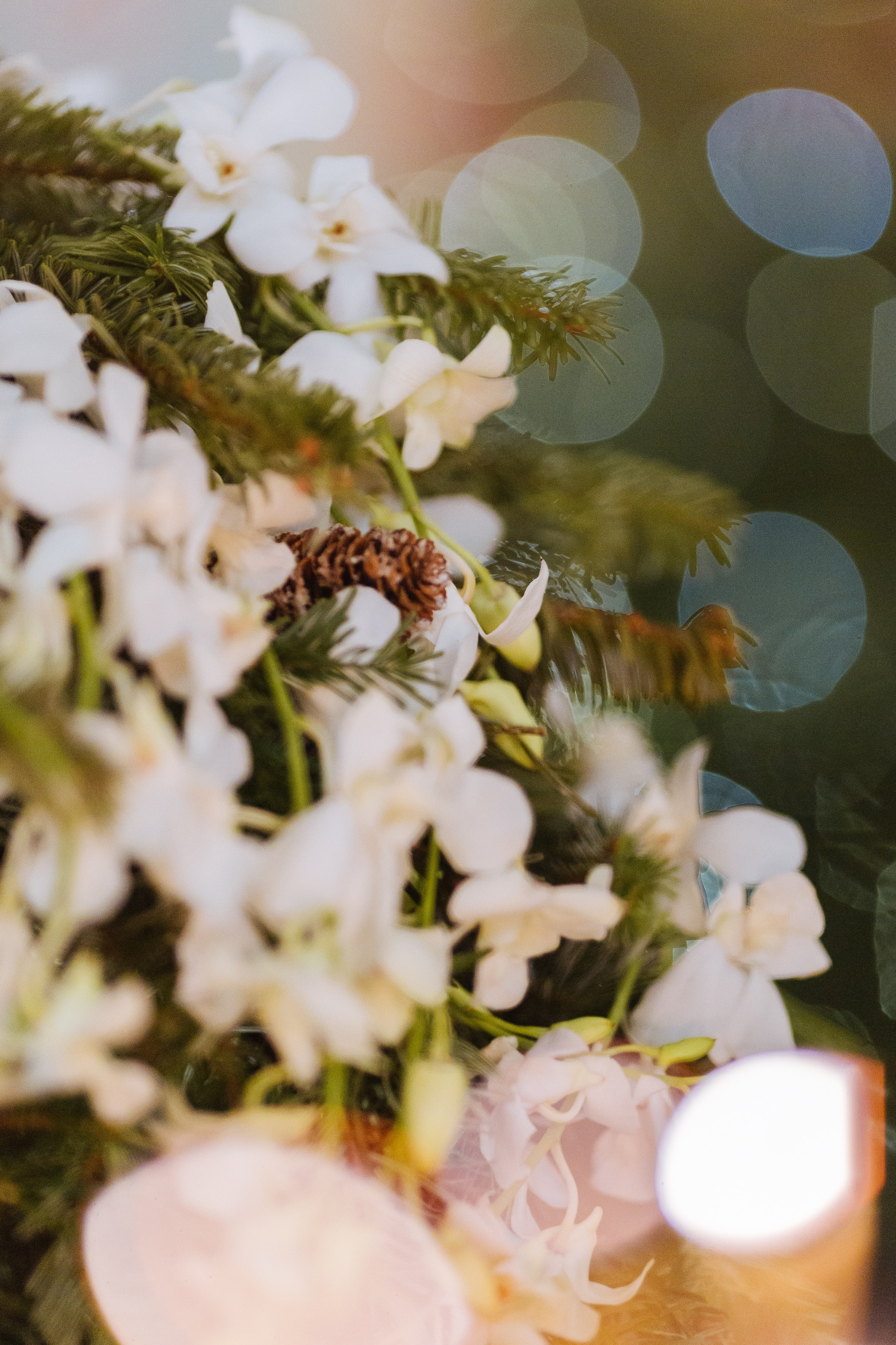 С Новым Годом и Рождеством Христовым!. Семейный и контент фотограф в Москве Вероника Швец