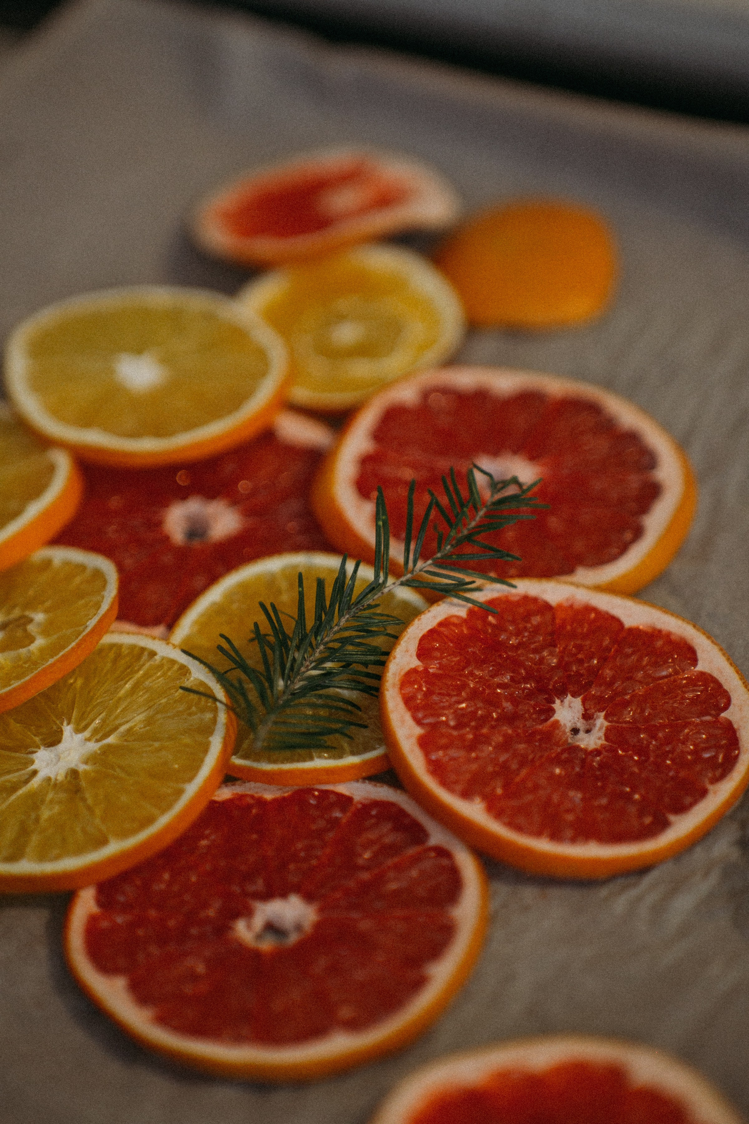 С Новым Годом и Рождеством Христовым!. Семейный и контент фотограф в Москве Вероника Швец