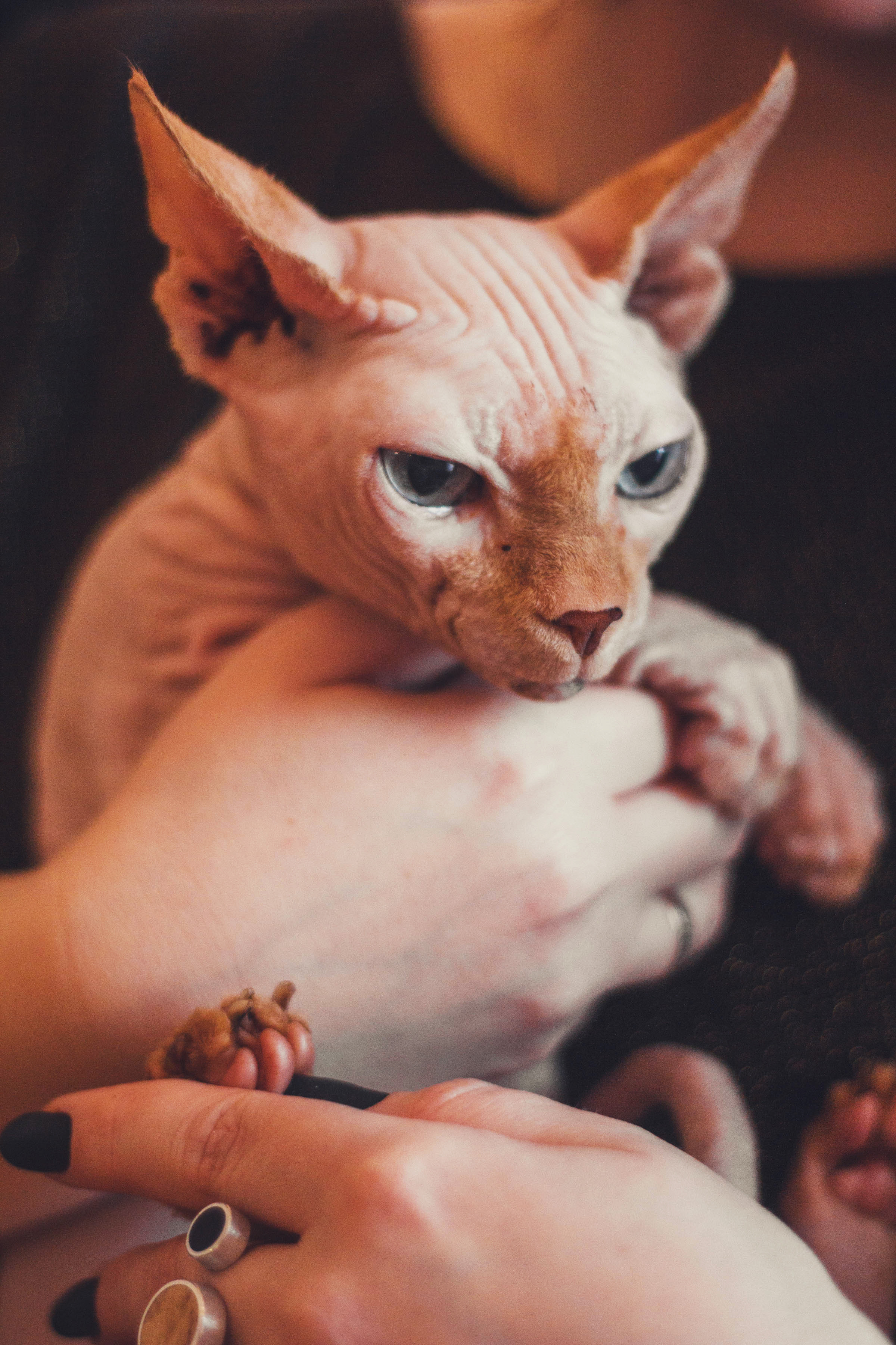 Главная. Детский и семейный фотограф в Москве
