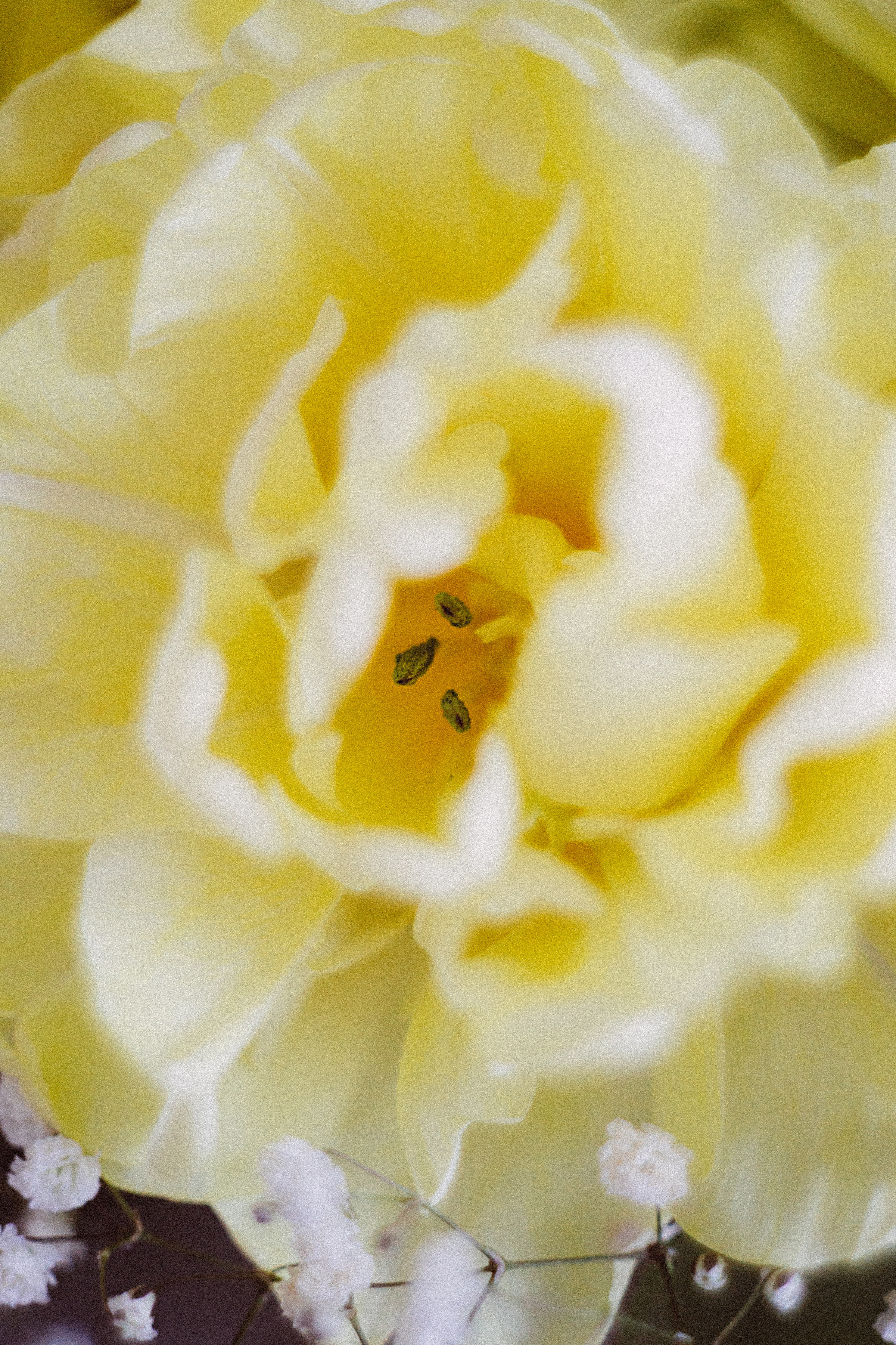 Когда остается послевкусие. Семейный и контент фотограф в Москве Вероника Швец