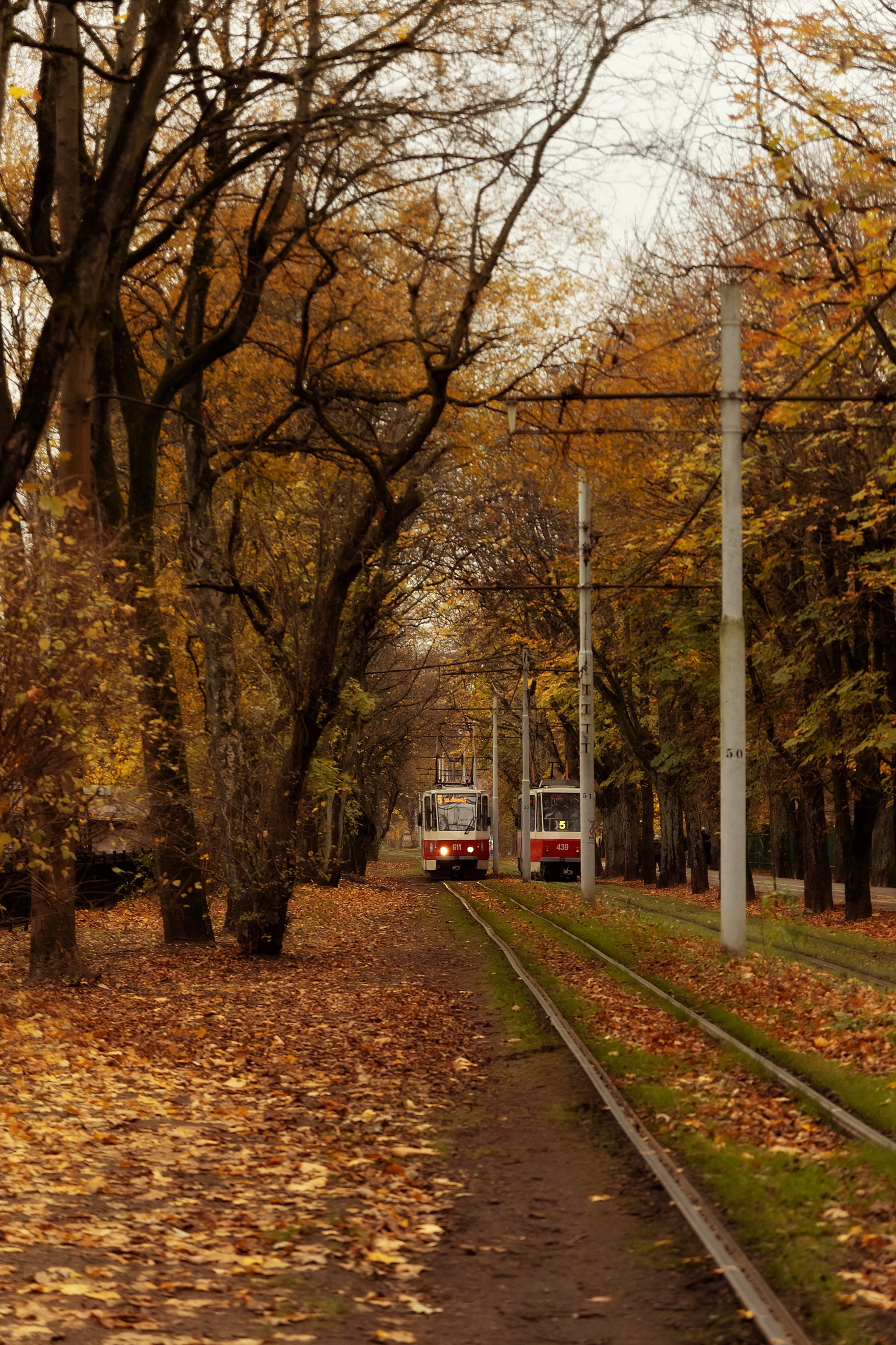 Поздняя осень в Калининграде. Семейный фотограф в Калининграде Надежда Гриднева