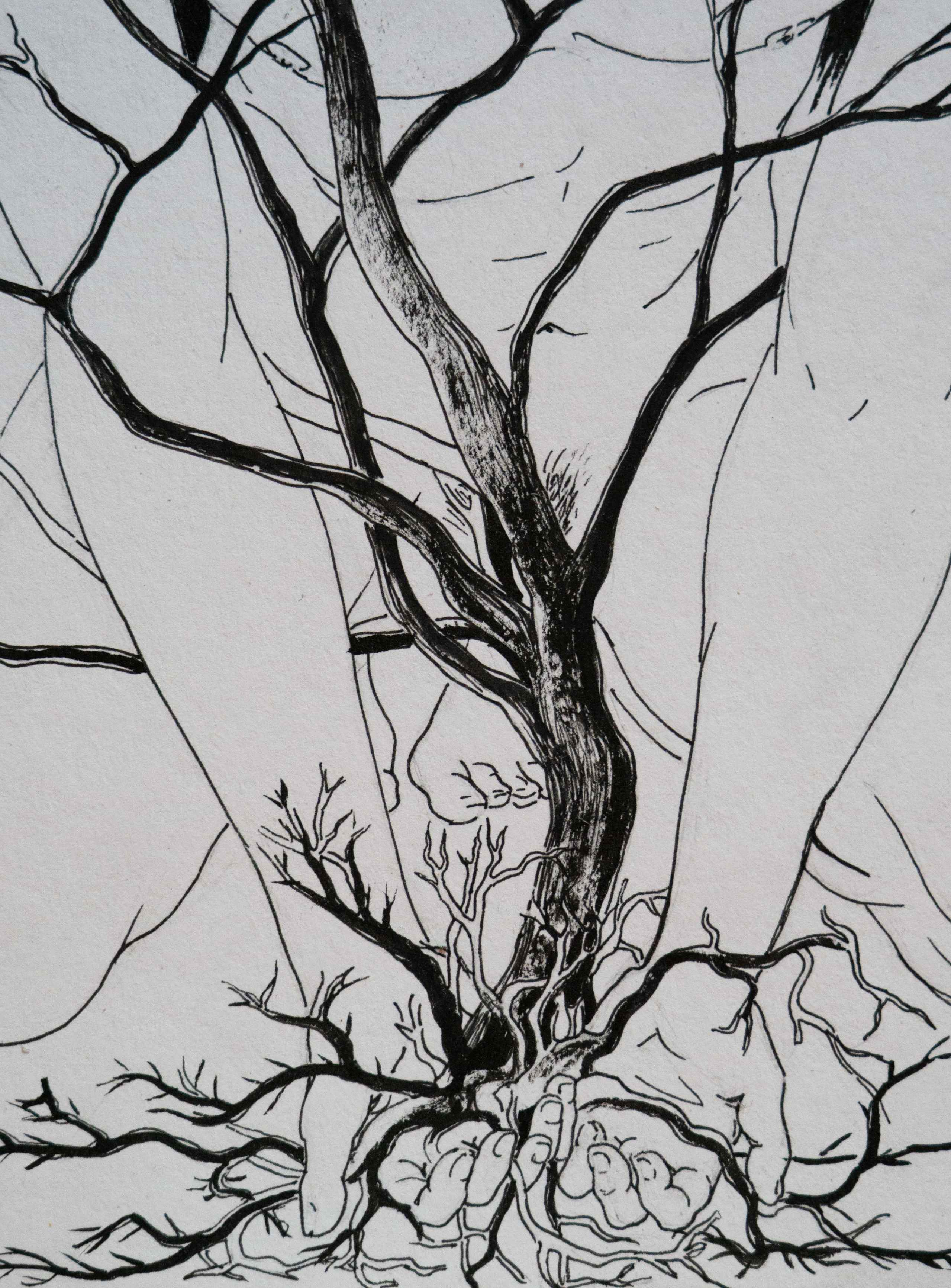 Локус. Anna Vishnevskaya