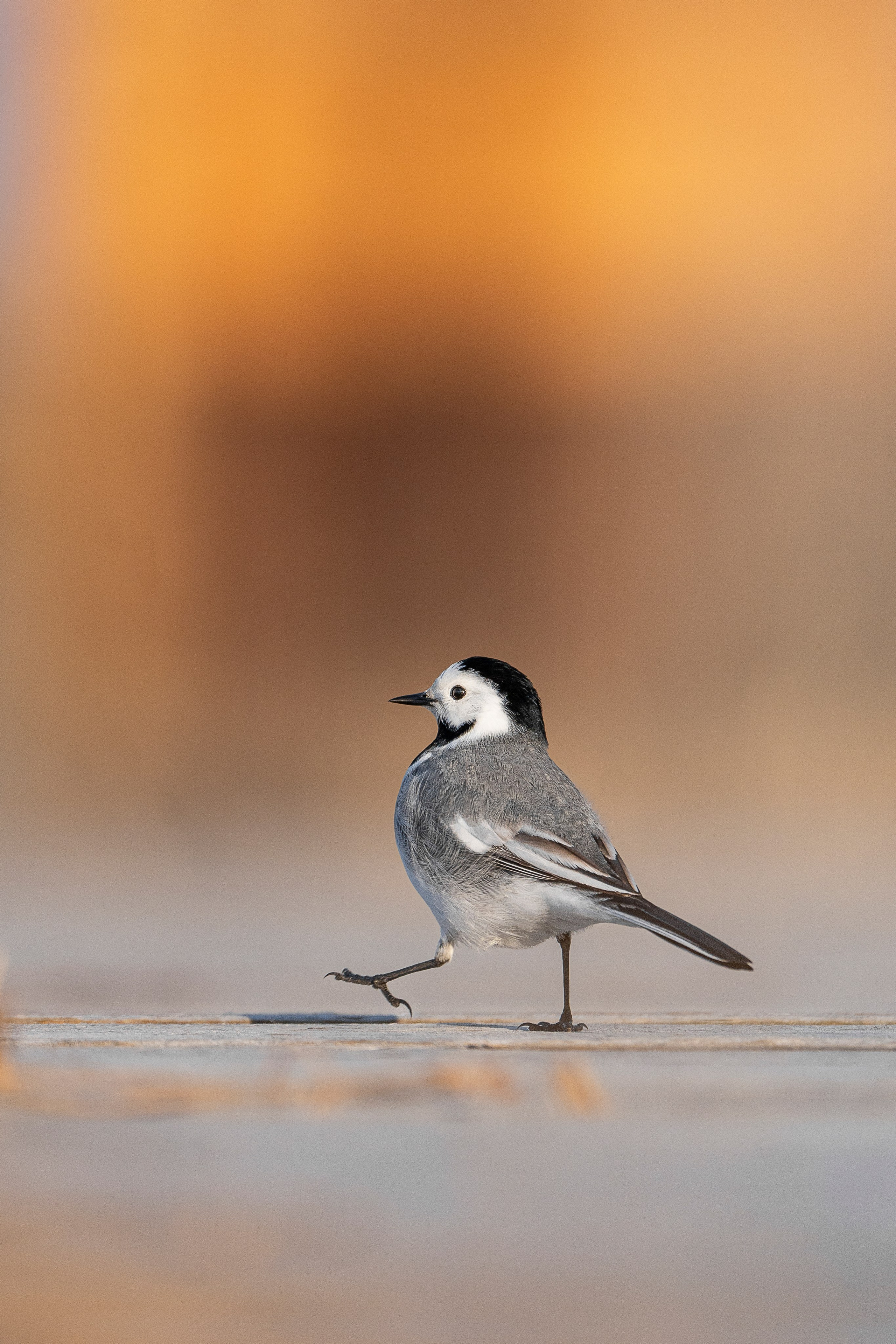 Фотограф Лубсан Чагдуров