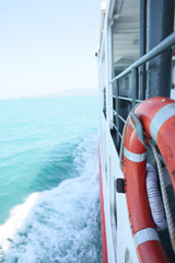 svetlanasamtovafoto.ru