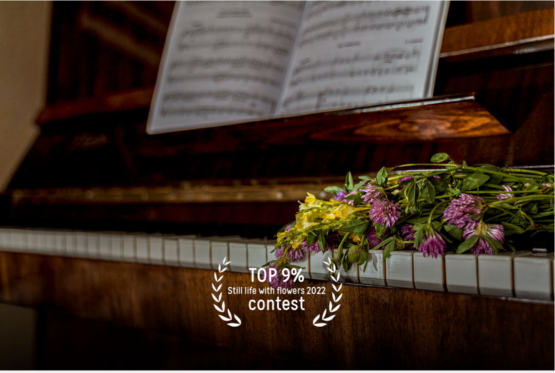 Детский семейный фотограф видеограф Красноярск Сташкевич Наталья. Семейный и детский фотограф Красноярск Наталья Сташкевич