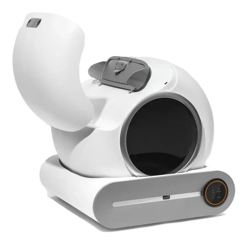 Котёнок американской бурмы. Las Burmas — питомник американской бурмы традиционных линий