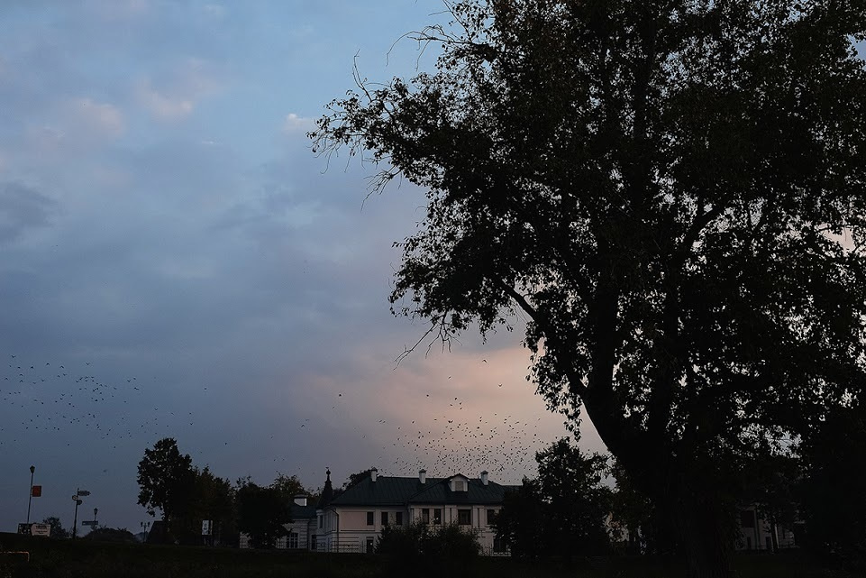 Суздаль. Октябрь 2014. Фотографии, впечатления, эмоции. А так же обзор и отзыв …. Фотограф Игорь Цаплин