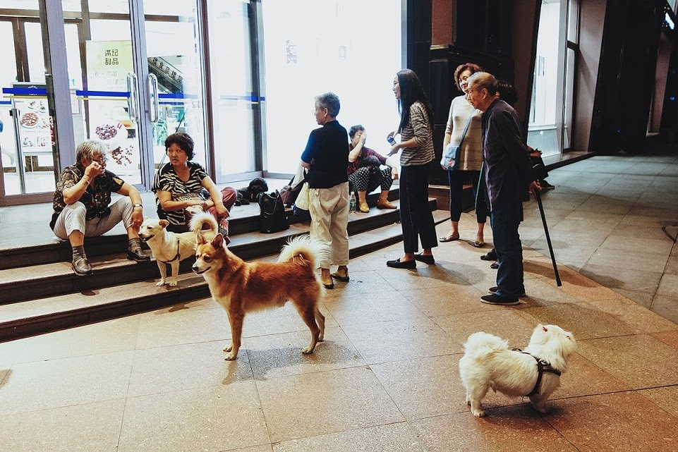 Китай. Шанхай. Фотографии, впечатления, эмоции. Фотограф Игорь Цаплин