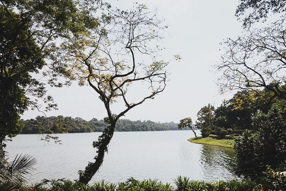 Сингапур. Фотографии, впечатления, эмоции. Фотограф Игорь Цаплин